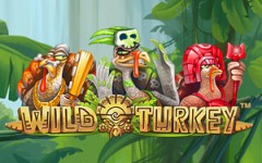Wild Turkey Slot