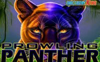 Prowling Panther